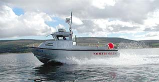 Link to 'Mollie B' page