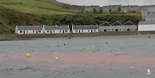 Click for enlarged view