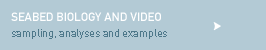Link to Seabed Biology and Video Page
